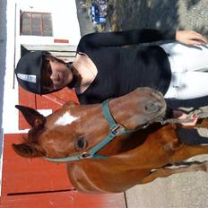 Anden særlig race Lucky Boy