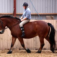 Anden særlig race Tulle *Gammel part*