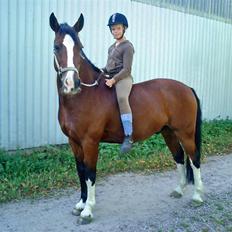 DSP Charleston *solgt*