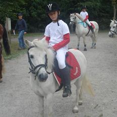 Anden særlig race Lille Beauty