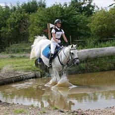 Connemara Nørlunds Cappuccino