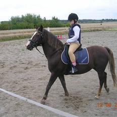 Anden særlig race Liberty  SOLGT