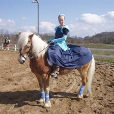 Haflinger Mikado