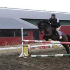 Anden særlig race Maloú