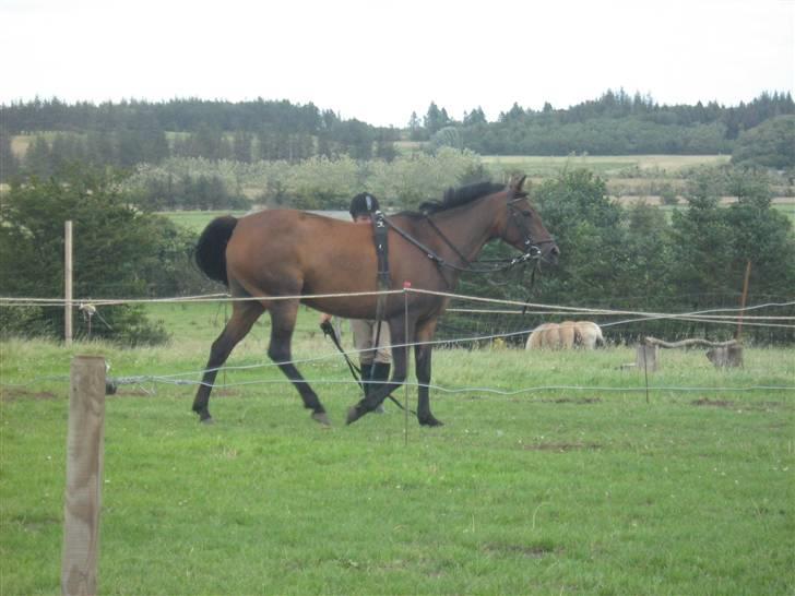 Anden særlig race $unshine<3 R.I.P:'( - 3: i longe d. 9/8-08 anden gang med gjord så flooot! 9 år billede 3