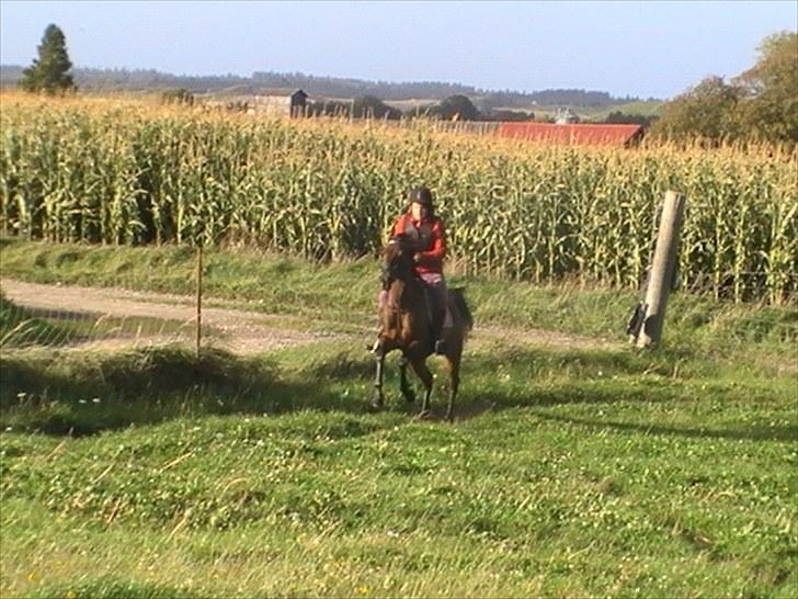 Anden særlig race $unshine<3 R.I.P:'( - 5: weeeeeeeeeeeeeeeeeeeeeeeeeeeeee 11 år billede 5