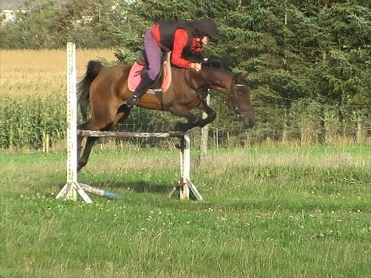 Anden særlig race $unshine<3 R.I.P:'( - 6: træning sep10 11 år billede 6