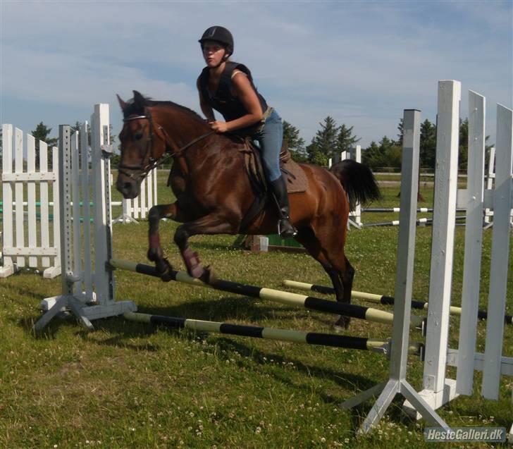 Anden særlig race $unshine<3 R.I.P:'( - 8: ridelejr 2009:)<3 taget af Maiken;) tak 10 år billede 8