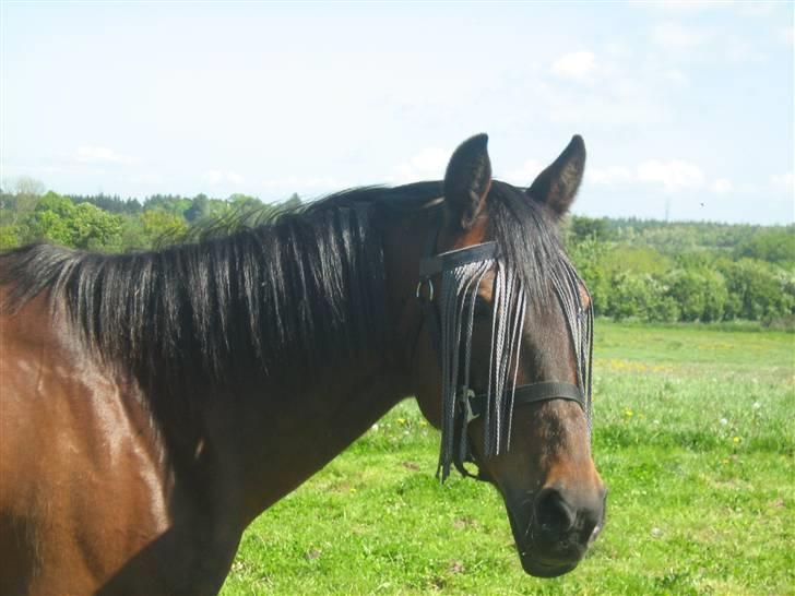 Anden særlig race $unshine<3 R.I.P:'( - 9: elsker dig<3 9 år billede 9