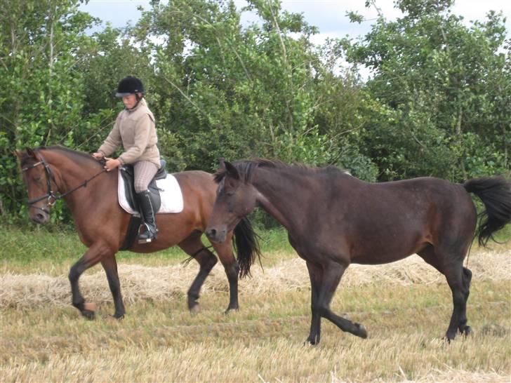 Anden særlig race Fly By Me. Helt unik!<3 - Kom så Some-one.. :) Kan du ikke følge med?  billede 19