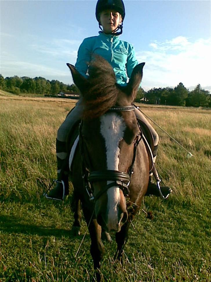 New Forest Pele<3 Solgt! - Ejj,. frede måå´ jeeg ikk´ bare spise?? billede 3