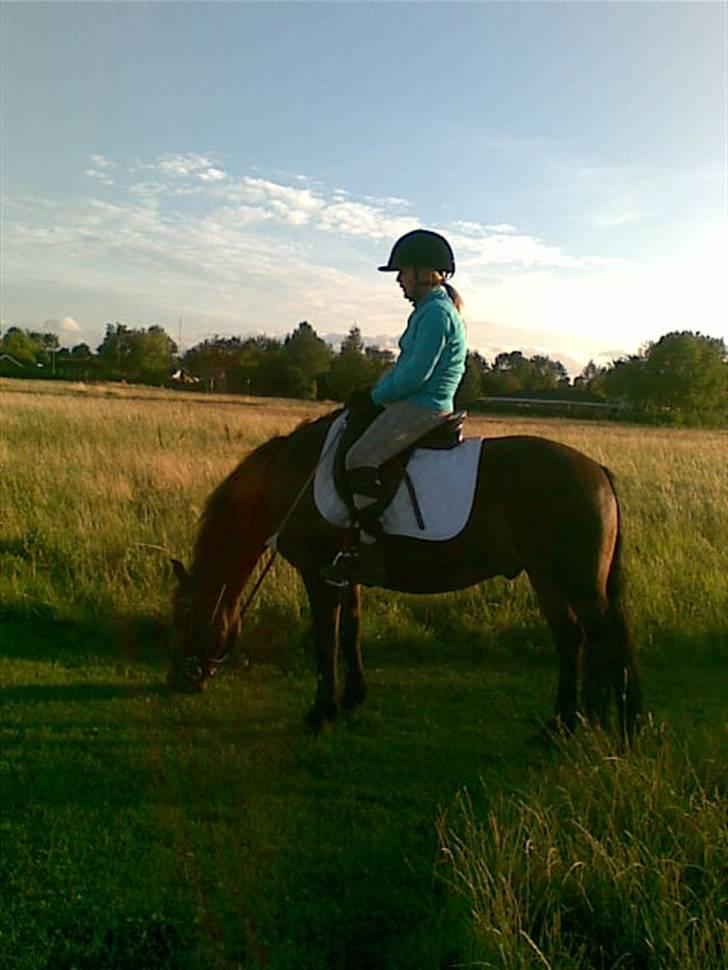 New Forest Pele<3 Solgt! - Jaaaaa. deet er bare foor godt!! er i himlen! xD billede 6