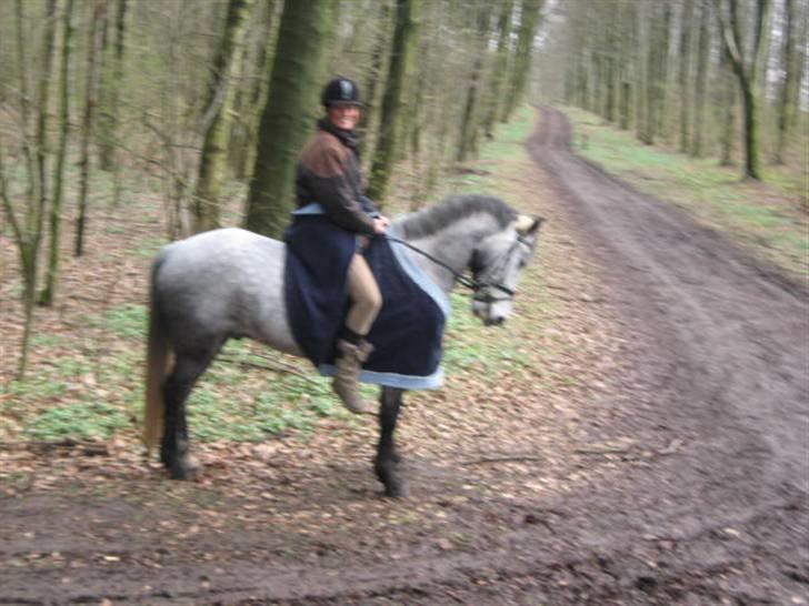 Anden særlig race Clyde Le Charmeur<3 Solgt billede 7