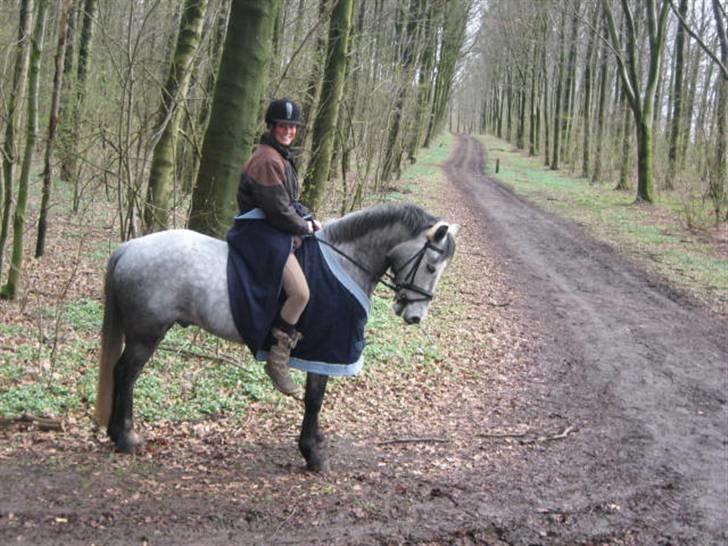 Anden særlig race Clyde Le Charmeur<3 Solgt billede 8