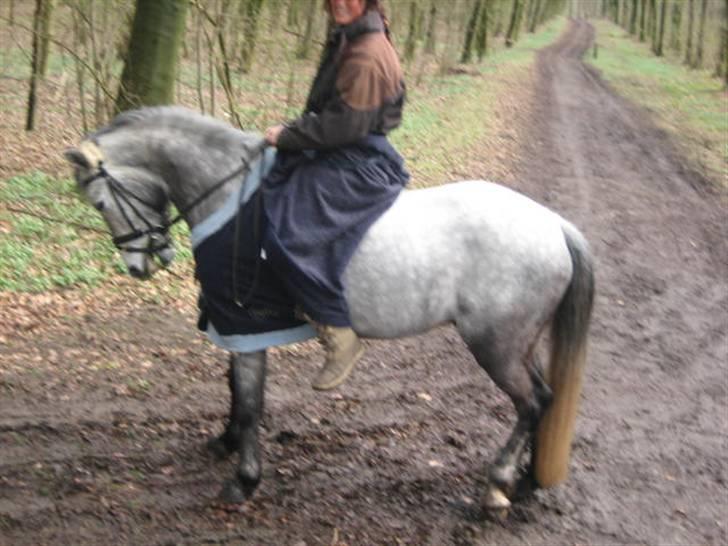 Anden særlig race Clyde Le Charmeur<3 Solgt billede 9