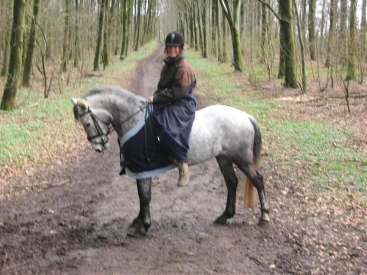 Anden særlig race Clyde Le Charmeur<3 Solgt billede 10