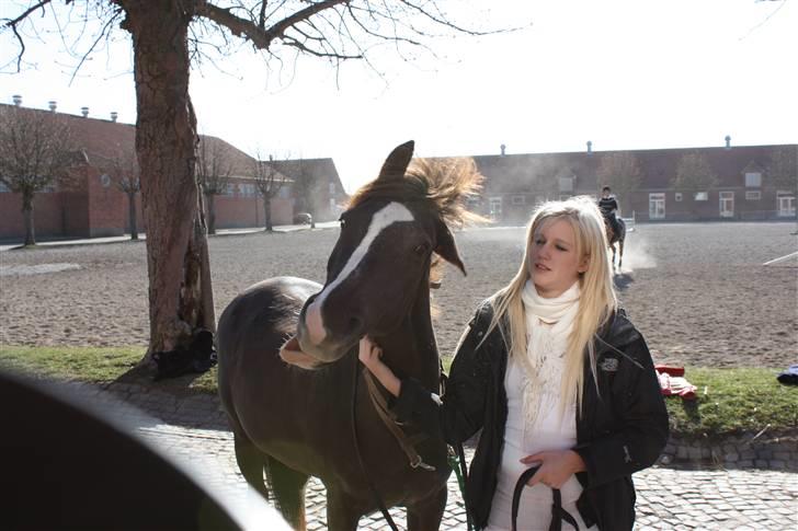 Anden særlig race Stella billede 15