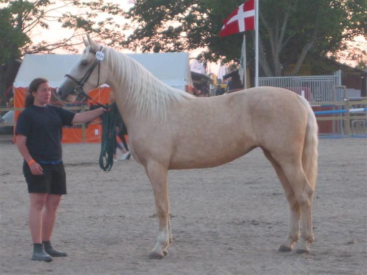 Frederiksborg Sassi Rødsten billede 16