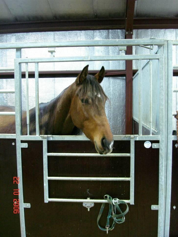 Quarter Really A Catalyst billede 3