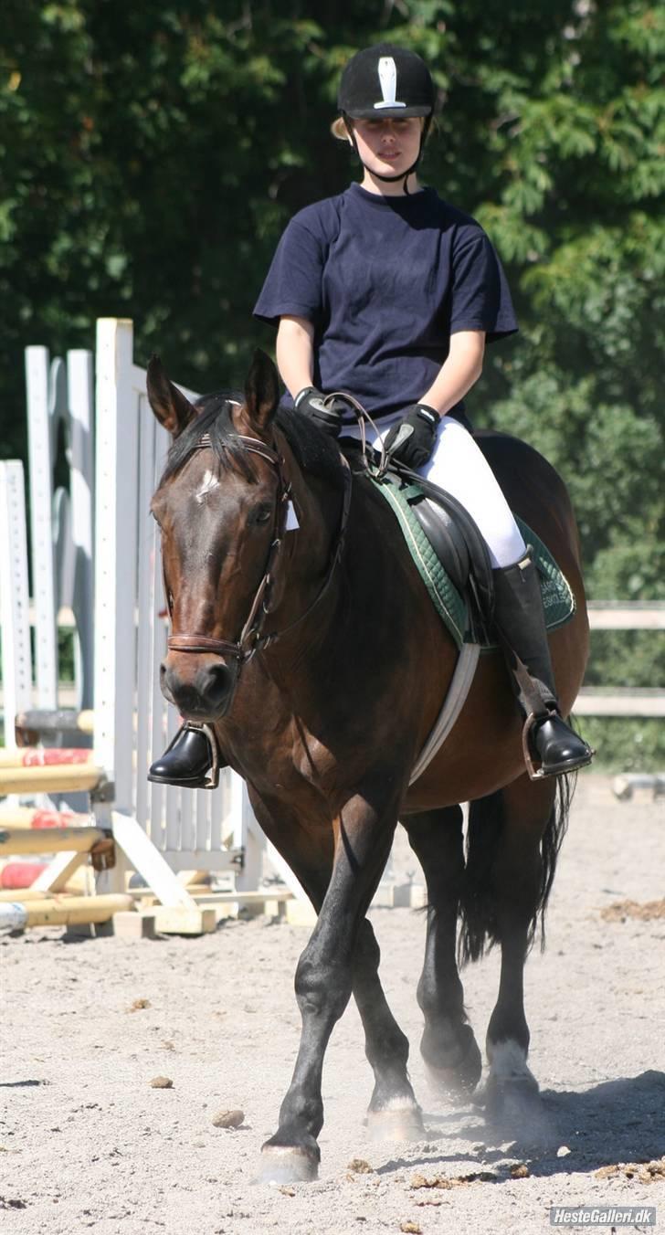 Oldenborg Rexido billede 7