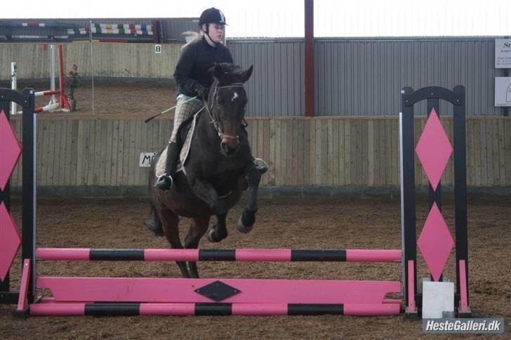 Oldenborg Rexido billede 14