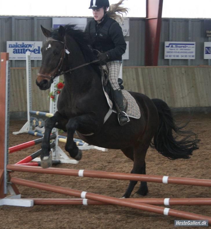 Oldenborg Rexido billede 15