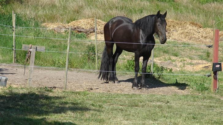 Frieser Miriam R.I.P. <3 billede 6