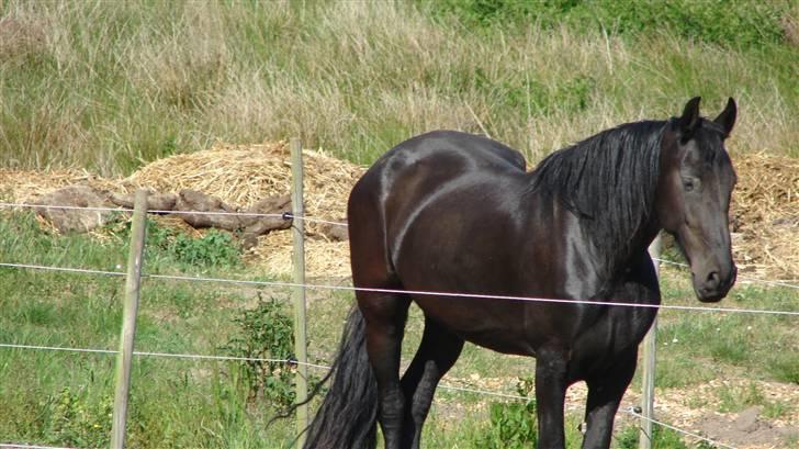 Frieser Miriam R.I.P. <3 billede 7