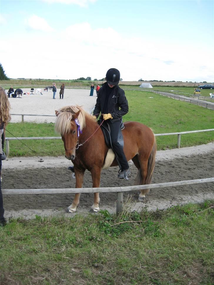 Islænder Dani fra Vissegård - 4.3 præmie overrækkelse til geysir. 5. plads Foto: mor (tror jeg) billede 20