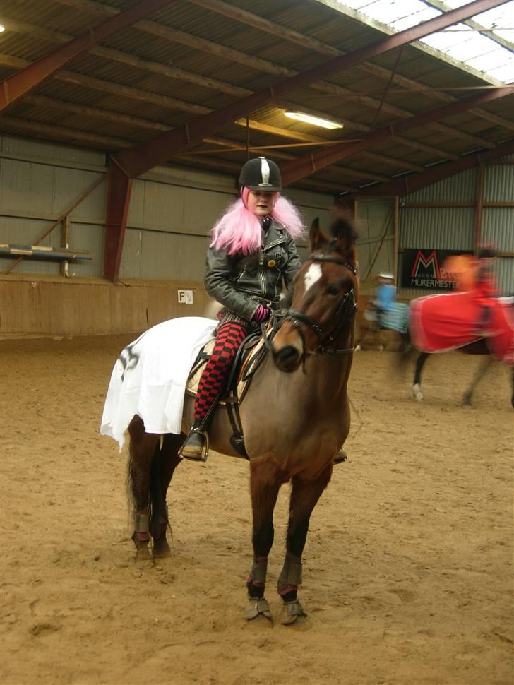 New Forest Feldholm's Primo<3 R.I.P -  hehe vi er bare så hotte på det her billed (: totalt nice punker billede 20