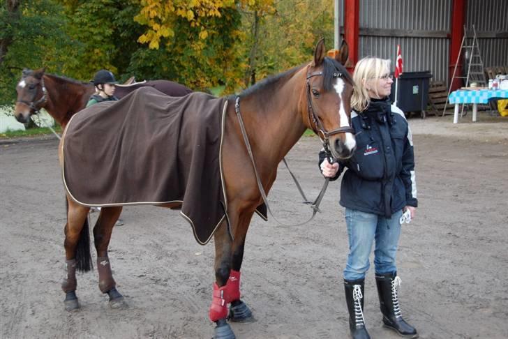 Anden særlig race Foxy Lady - Min mor og Foxy .. :) billede 9