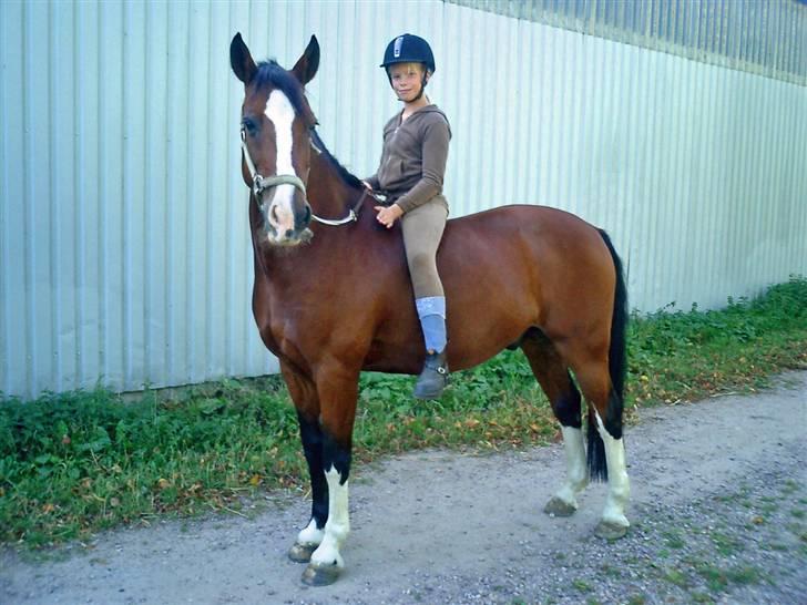 DSP Charleston *solgt* billede 1