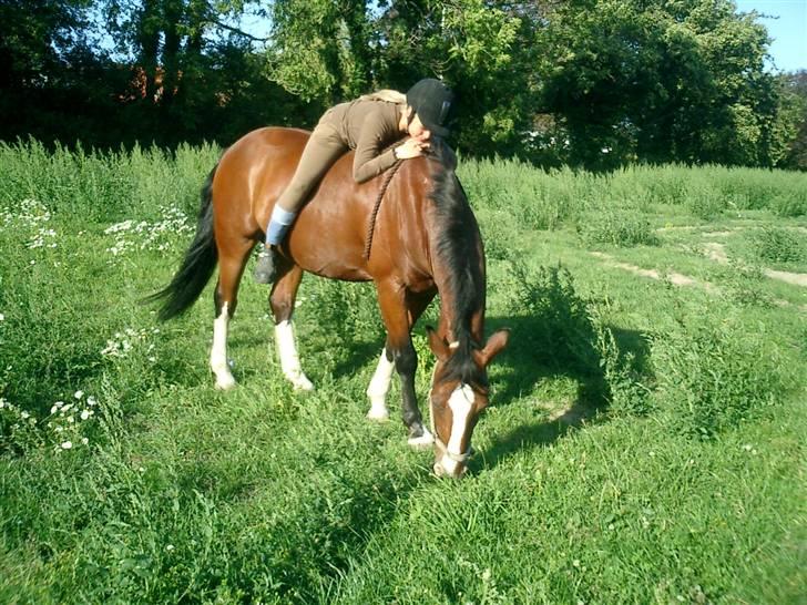 DSP Charleston *solgt* billede 2