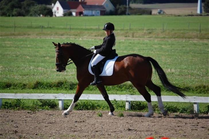 DSP Charleston *solgt* - Charleston og mig til Klubmesterskabet 07 billede 3