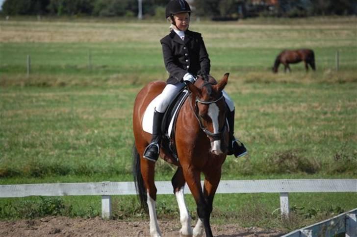 DSP Charleston *solgt* - Charleston og mig til Klubmesterskabet 07 billede 4