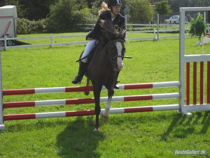 Anden særlig race Gilbert<3<3<3 hans erik's - dansker se lige mit fjæs!XD<3<3 billede 14