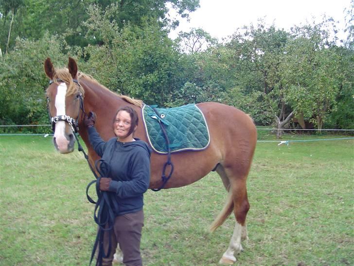 Frederiksborg Casanova *Tld. låne hest* billede 8