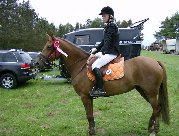 Tysk Sportspony Sina - SOLGT billede 2