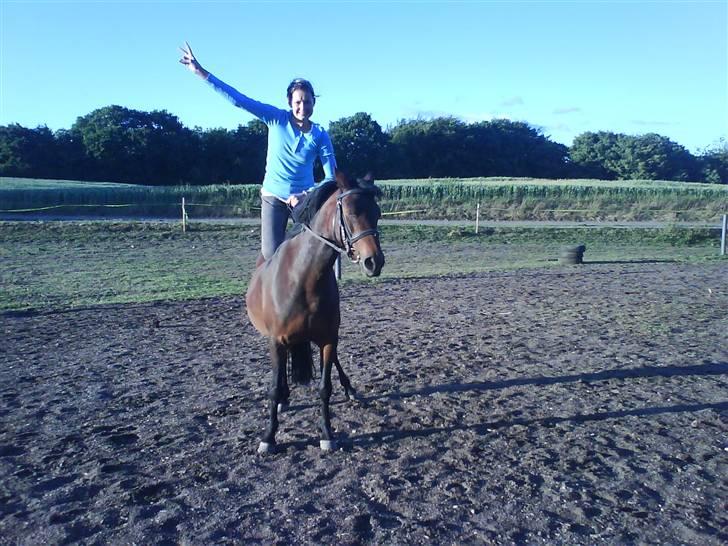 New Forest Beauty   *solgt* - pas på du ikke falder af søs haah <3 gjorde du nu heller ikke ..  billede 10