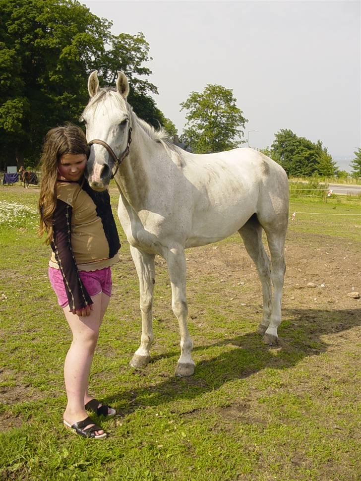 Anden særlig race boy29år ( død.d.19.10.07) billede 14