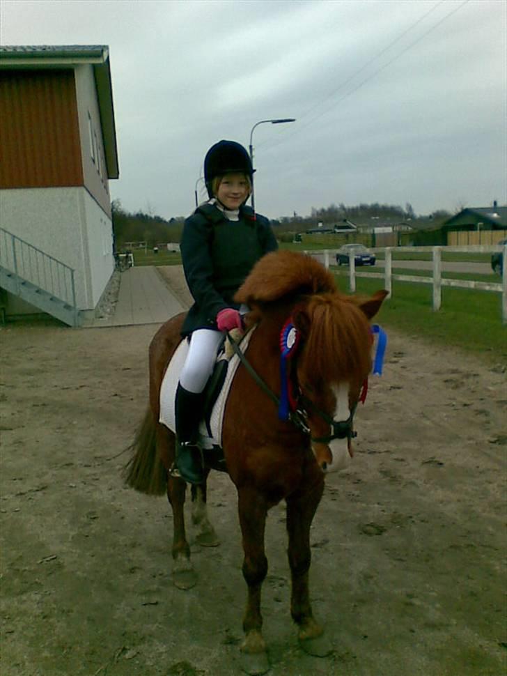Anden særlig race Laban *solgt* - Så fine var vi i april 2008 billede 7