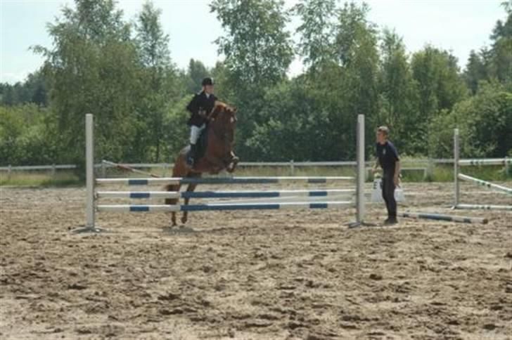 Anden særlig race Lucky Boy - Springer med Sara , 70 cm. <3<3 Yndig er han sgu :P billede 4