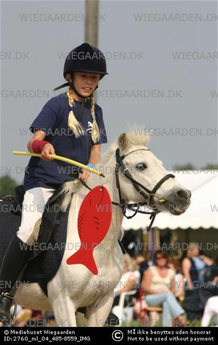 Anden særlig race Lille Beauty - mig og L Beauty til DM 2005 :D  billede 9