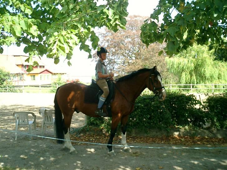 DSP Charleston *solgt* billede 6