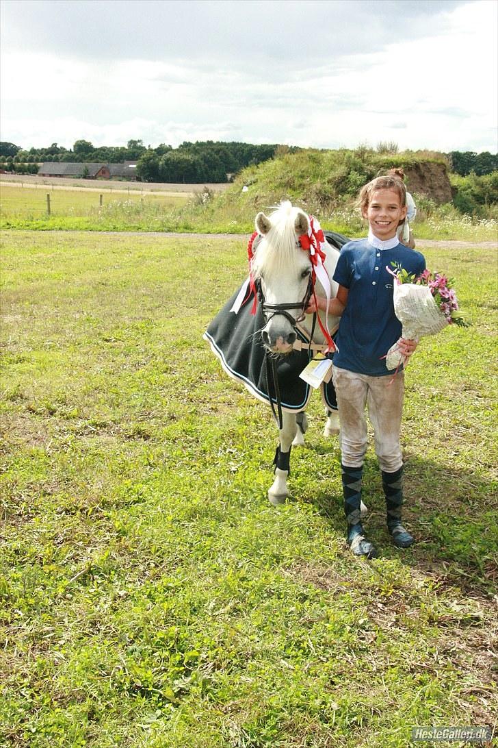 Welsh Mountain (sec A) sun star - NYT ved hvad i tænker men 22 årige pony kan godt vinde kommunemesterskabet Signe Kahr og Sun Star 2010 (mesterfotograf Helle Neilsen)  billede 11