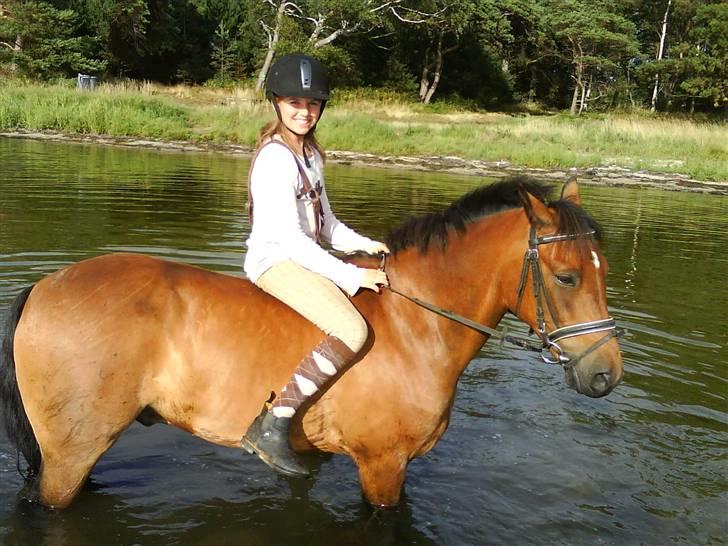 New Forest Øxsenborgs Pinocchio - ude og bade igen billede 6