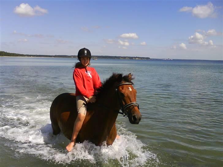 New Forest Øxsenborgs Pinocchio - fuld fart i vandet.. det sprøjter!! :) billede 7