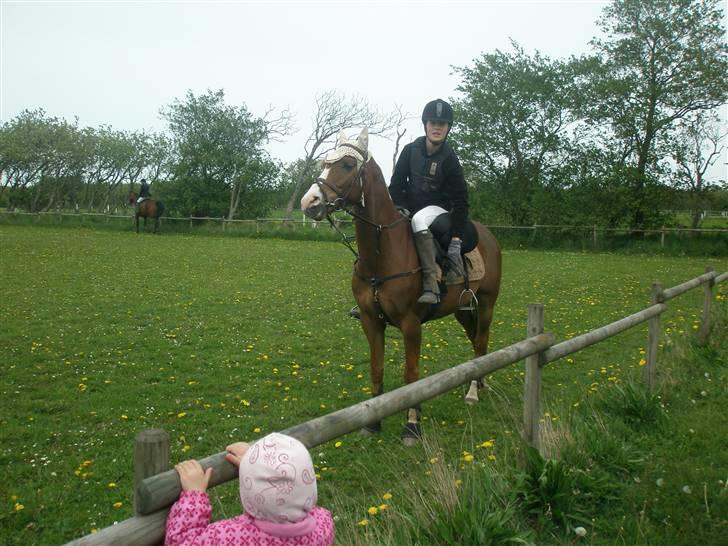 DSP Alcoy Kærlund SOLGT - Springe kan vi også :) 1 plads ;b  billede 19