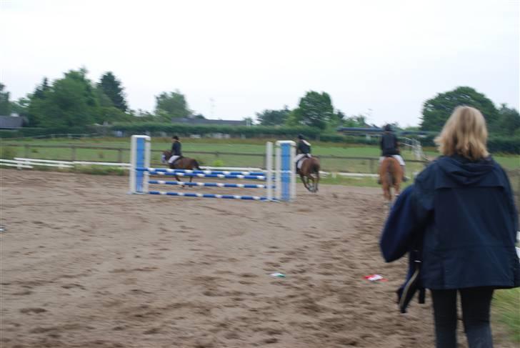 Anden særlig race Ølfert - Æresrunde, LA 3. plads.. tabte rosetten;) billede 11