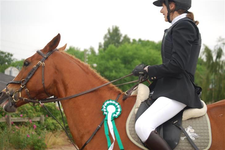 Anden særlig race Ølfert - juubii!! 3. plads LA. VEK 22/6-08 billede 12